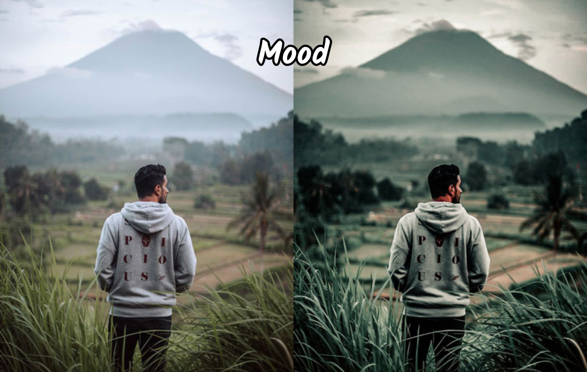 Creator Set (10 Presets + 10 LUTs + Bonus Kit)